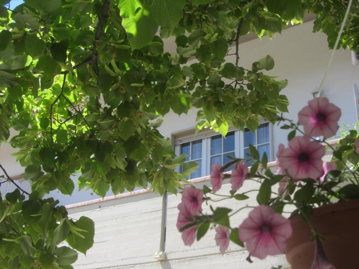 B&B il Country e il Mare Martinsicuro Esterno foto